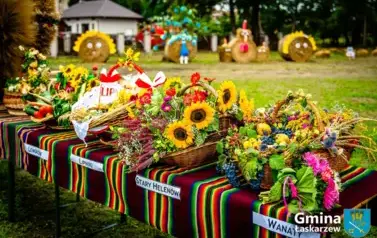 20250907-Dożynkia (159)