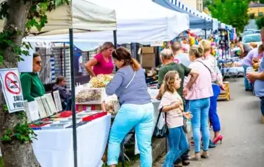 20250907-Dożynkia (757)