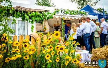 20250907-Dożynkia (572)