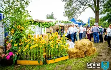 20250907-Dożynkia (571)
