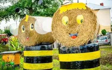 20250907-Dożynkia (561)