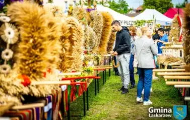 20250907-Dożynkia (505)
