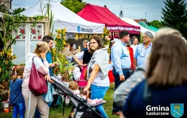 20250907-Dożynkia (501)