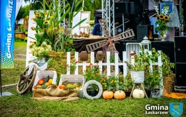 20250907-Dożynkia (483)