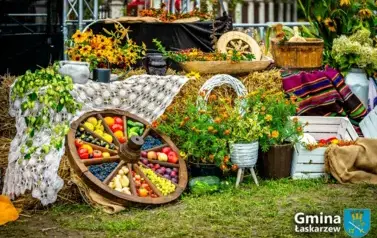 20250907-Dożynkia (482)