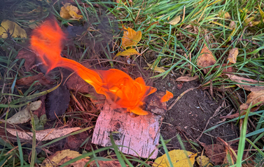image00013