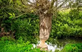 20250803-Spacer Dymek (125)