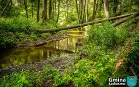 20250803-Spacer Dymek (100)