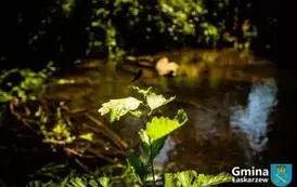 20250803-Spacer Dymek (69)