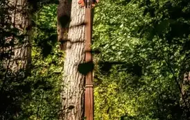 20250803-Spacer Dymek (61)