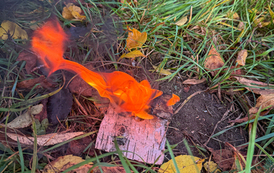 image00013