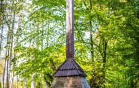 20250430-DSC_5807