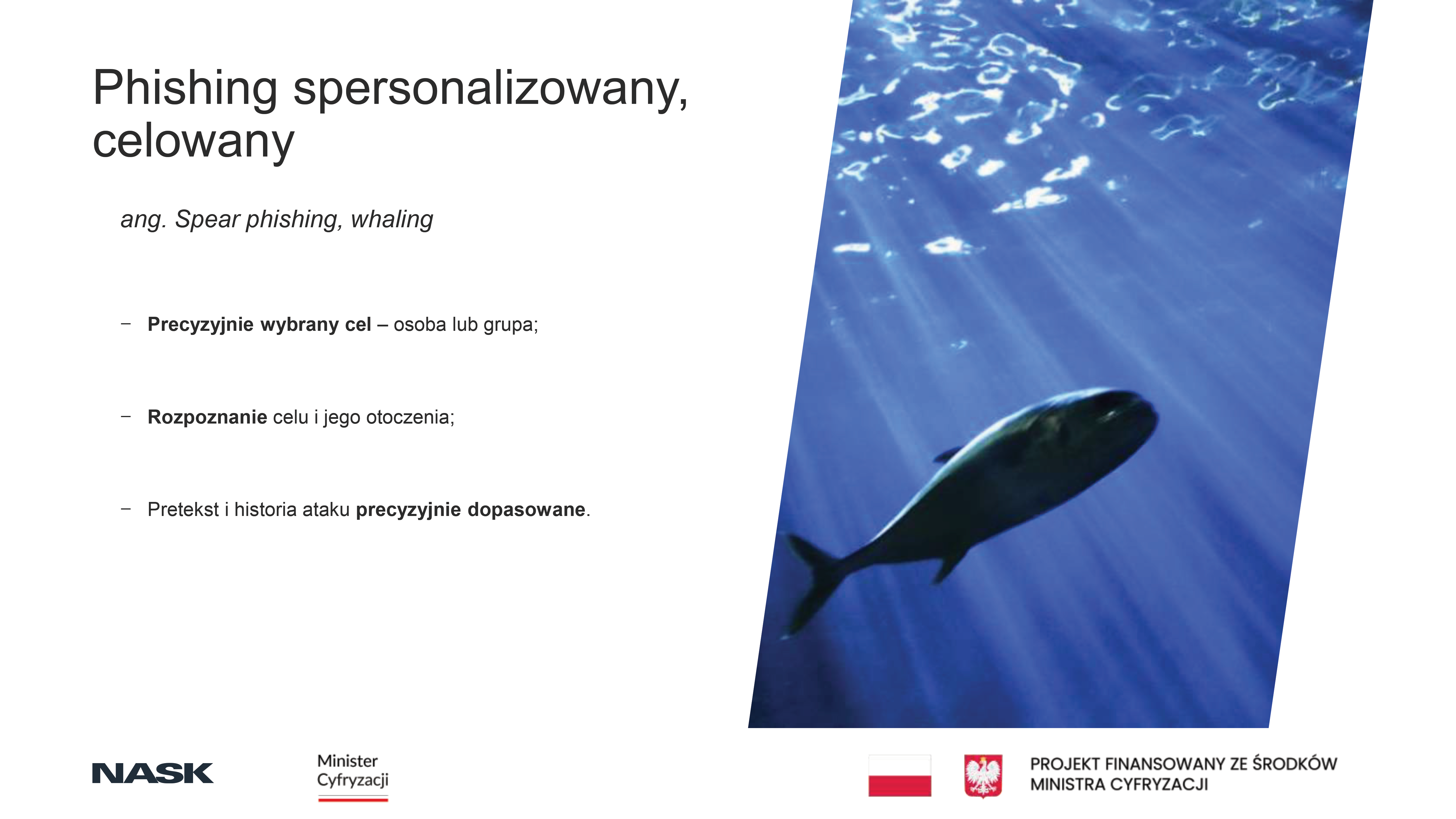Najpowszechniejsze zagrożenia w&nbsp;Internecie