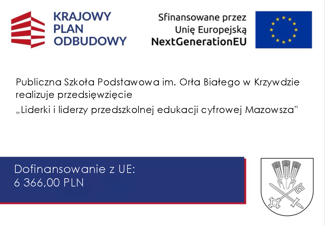 Informacja o&nbsp;otrzymanym dofinansowaniu