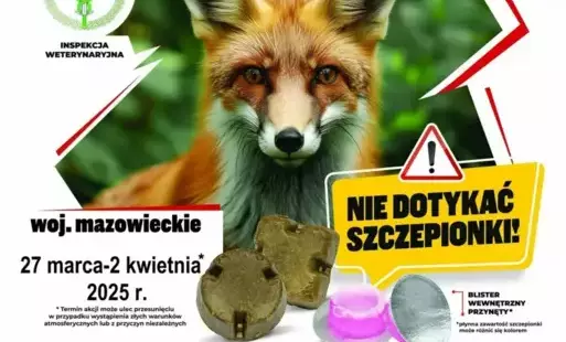 Szczepienia przeciwko wściekliźnie