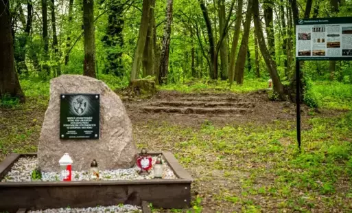 Zdjęcie do Nowa Aleja Klonowa w Uścieńcu